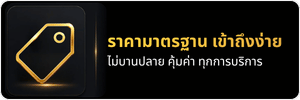 ราคามาตรฐาน เข้าถึงง่าย